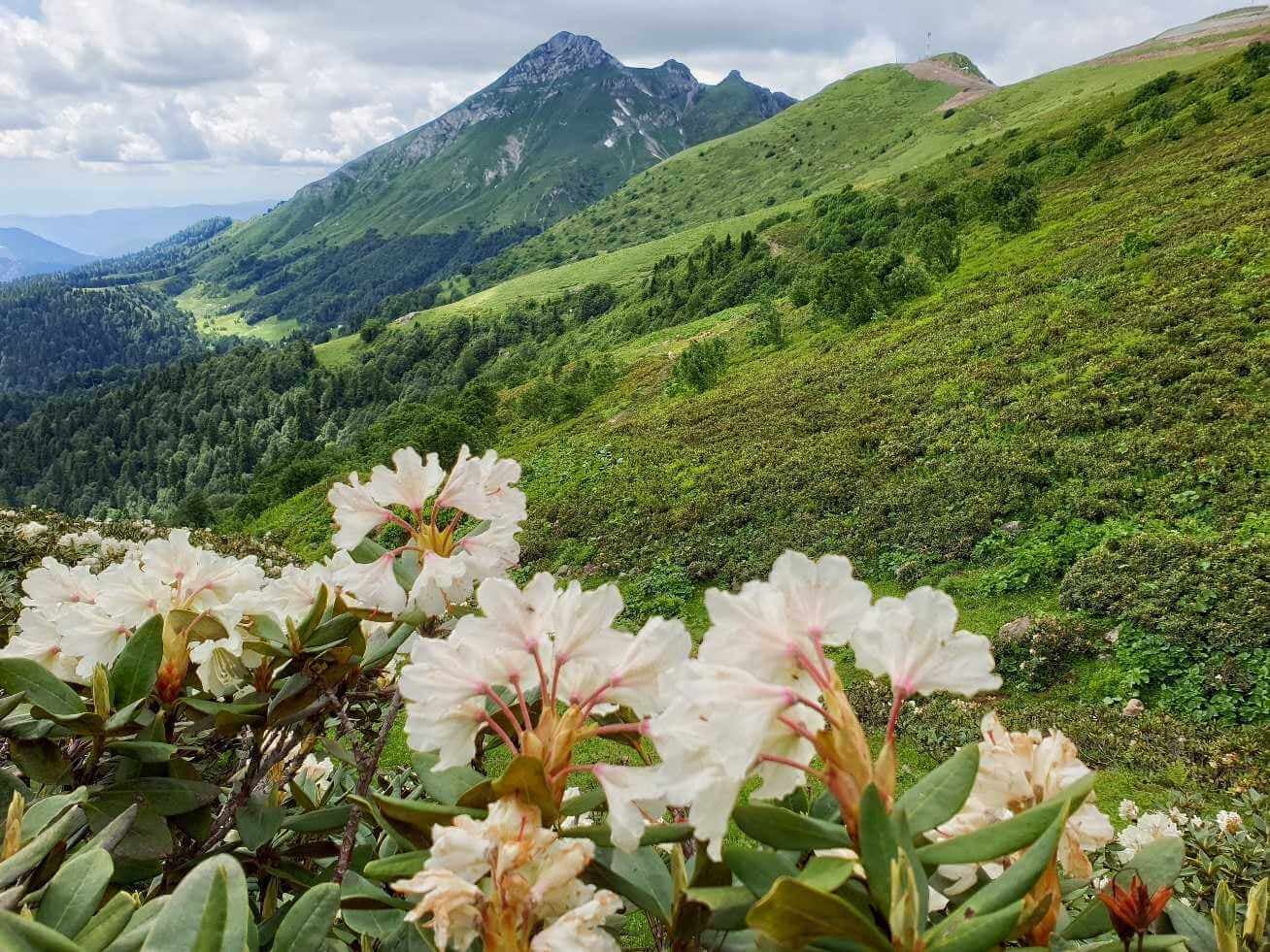 пеший маршрут, поход с гидом в красной поляне