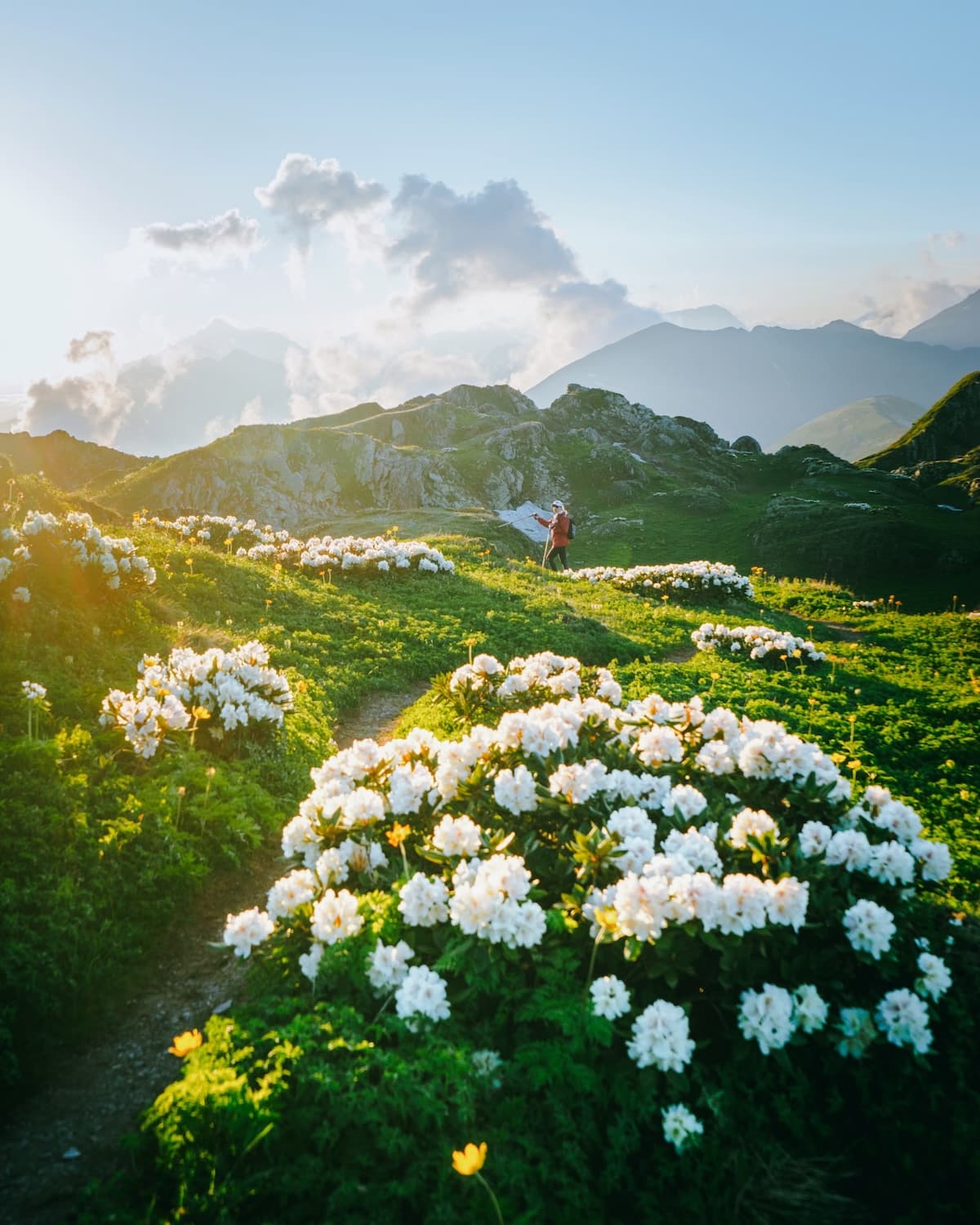 пеший маршрут, поход с гидом в красной поляне