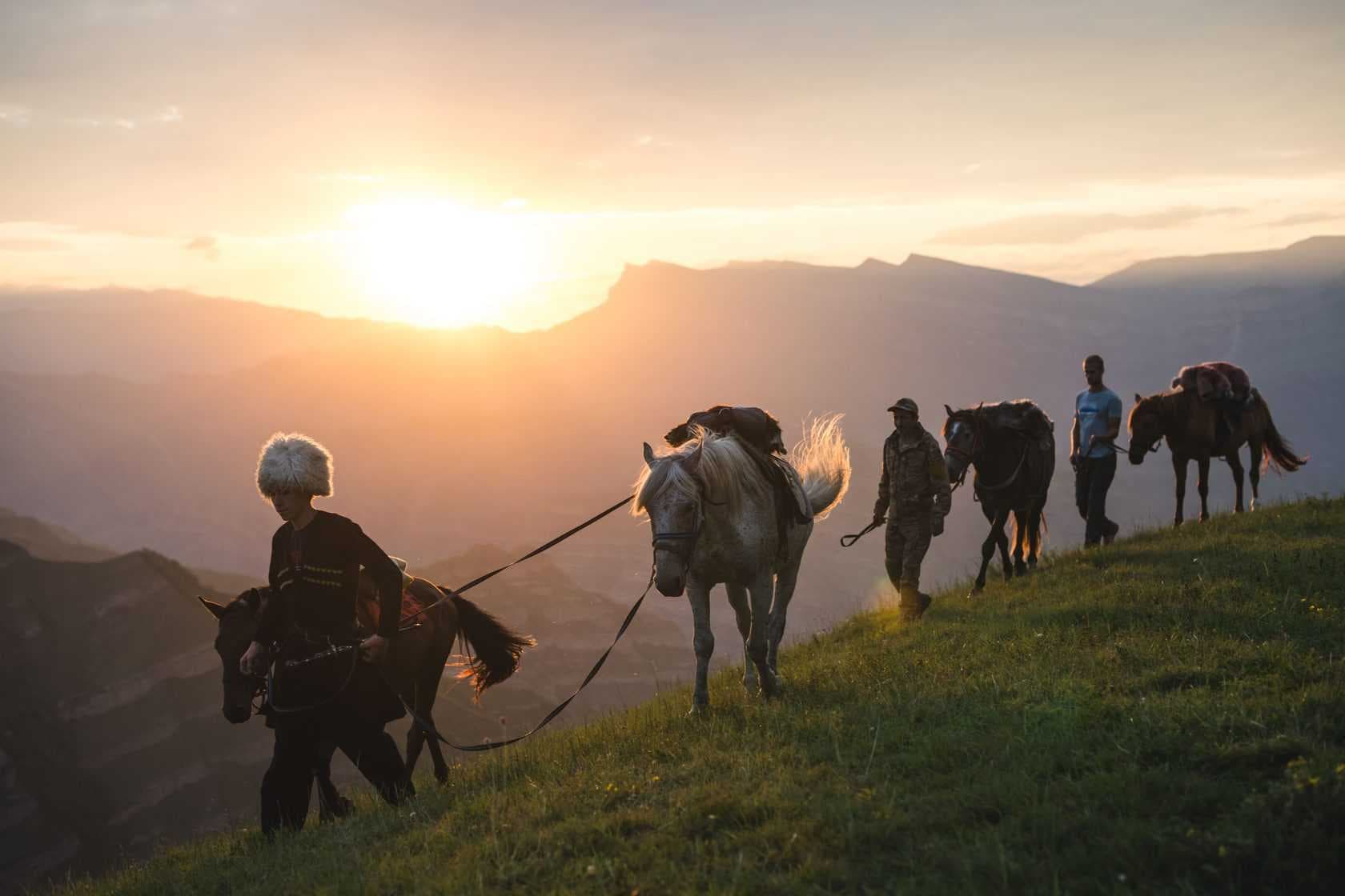 конные прогулки в горах красной поляны